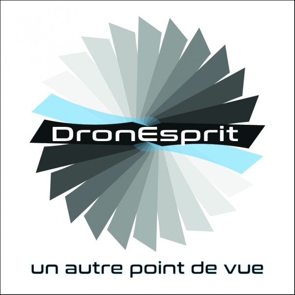 DronEsprit logo