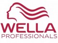 logo wella