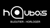 Logo de Bijouterie Haubois