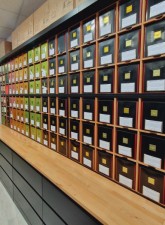 Dammann - Objectif Zen