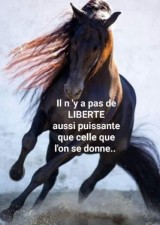 Notre volonté - Humminia Hypnosis